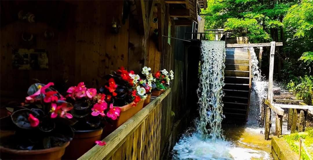 فيلا Casa Morii Ohaba المظهر الخارجي الصورة