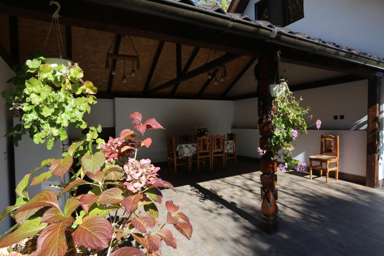 فيلا Casa Morii Ohaba المظهر الخارجي الصورة