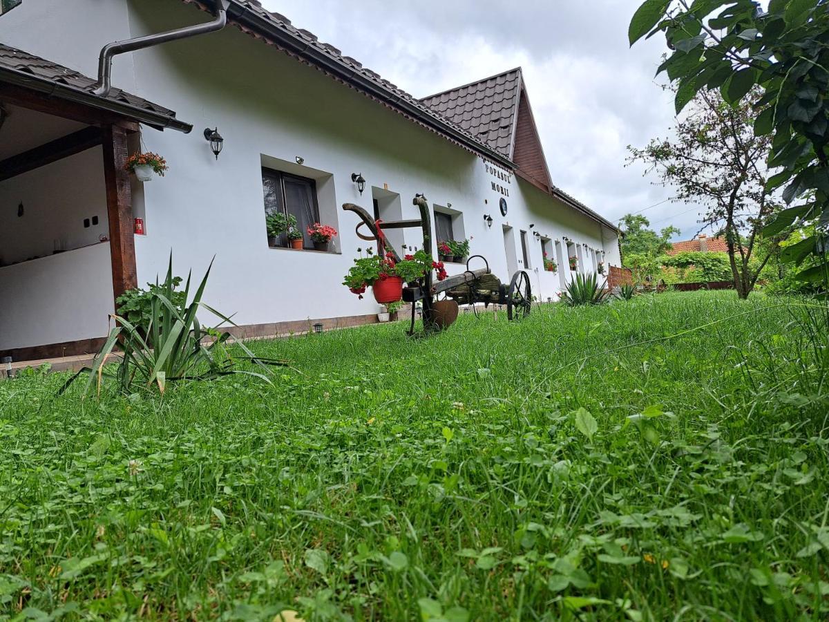 فيلا Casa Morii Ohaba المظهر الخارجي الصورة
